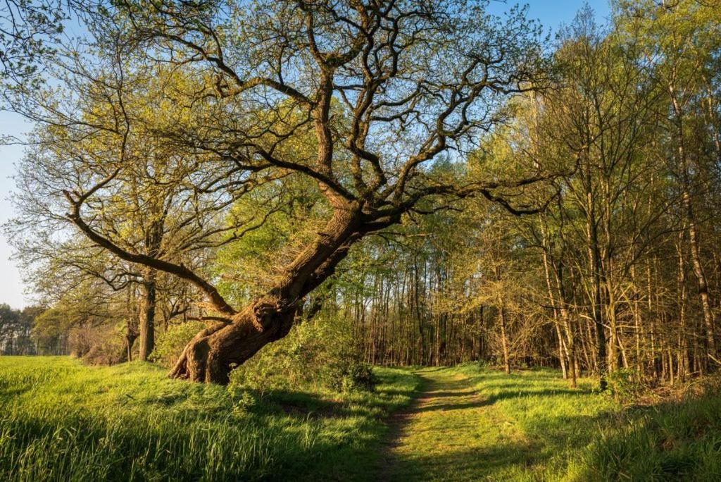 De Scheersehoeve * Holthone